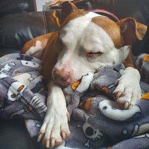 Meet your Posher, Stacey